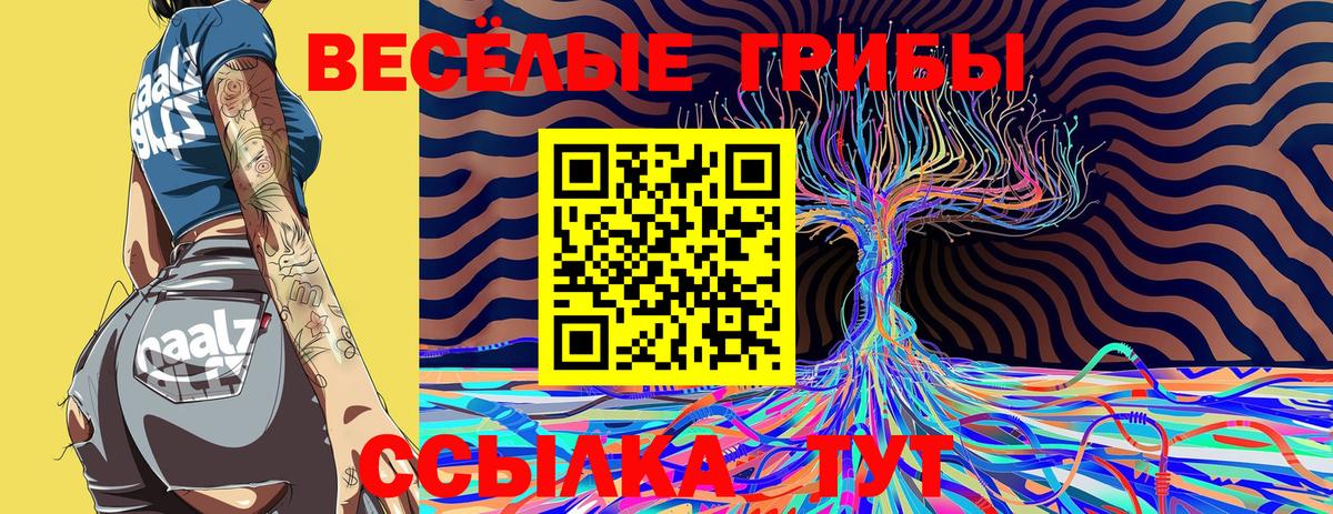 Псилоцибиновые грибы мухоморы Новокуйбышевск